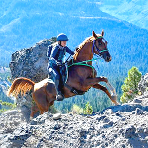 A professional rider on a horse